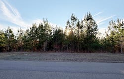 Airport Road, Carthage, MS 39051