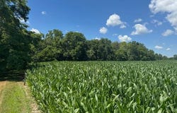 N SD Hwy 95, Smithfield, IL 61477