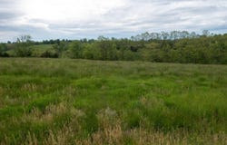 34.01acres Menefee Rd. Road, Crittenden, KY 41030