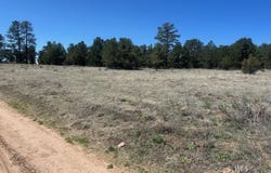 TBD 35th Trail, Cotopaxi, CO 81223