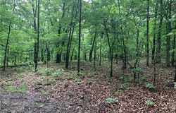 17256 Misty Woods  RD, West Fork, AR 72774