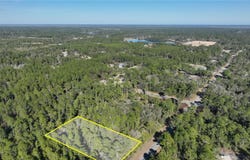 SAFFRON AVENUE, EUSTIS, FL 32736