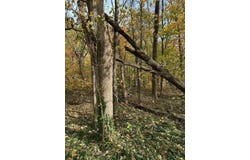 0 Miller Boulevard, New Carlisle, IN 46552