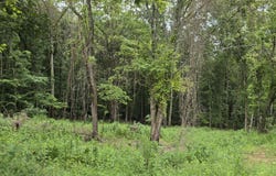 270 Wells Rd, Powell, TN 37849