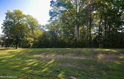 155 Oak Ridge Lakes Drive, Coldwater, MS 38618