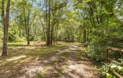 2811 Elderberry Lane, Tallahassee, FL 32309