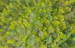 Lot 7B Blackman Hill Road, Caroline, NY 13736
