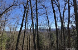 Saturn Way, Topton, NC 28781