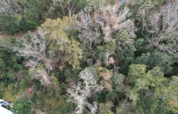 3-12-2n-4w-1100-0000b-009 STATION STREET, QUINCY, FL 32351