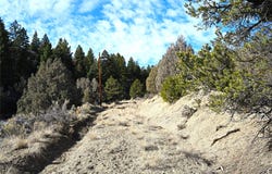 00 CR 322, Tierra Amarilla, NM 87575
