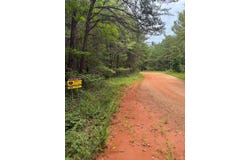 Tract 2 - Gobbler Creek Road, Wedowee, AL 36278