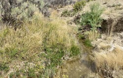 County Road 45 lot: 6, Hamilton, CO 81638