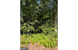 8202 SYCAMORE ROAD, LUSBY, MD 20657