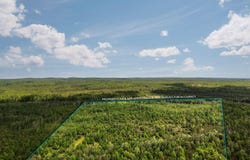4011 W Forest Road, Lake City, MI 49651
