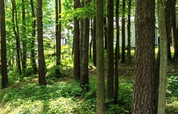 Lake Shore Drive S, Milford, NY 13807