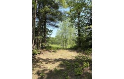 V/L 200th Avenue, Morley, MI 49336