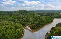 250 HAMILTON LANE, RIVERSIDE, AL 35135