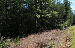 0) Flagpole Circle, Ellijay, GA 30540