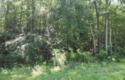 0 Knoll Woods Drive, Rustburg, VA 24588