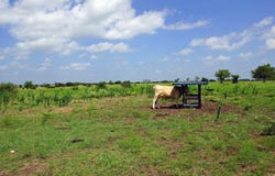2002 County Road 276, Bertram, TX 78605