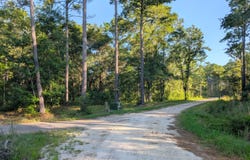 2006 Becca Lane, McClellanville, SC 29458