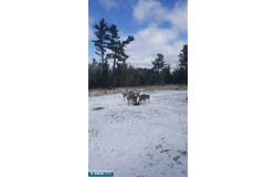 6342 Hwy 21, Embarrass, MN 55732