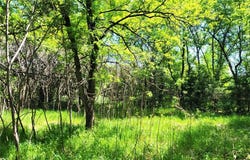 14xxx County Road 44, South Haven, MN 55382
