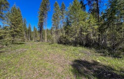 16XX WILLIAMS LAKE RD, COLVILLE, WA 99114