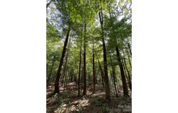 Haverhill Court lot: 20, Flat Rock, NC 28731
