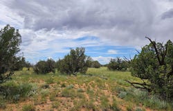 1924 Hutch Road, Heber, AZ 85928