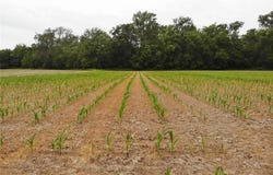 0 Basen Rd, Centralia, IL 62801