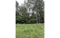 71 Valleyway Drive, Elmira, MI 49730