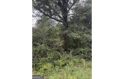 Harrison Davisboro Road lot: 7, Davisboro, GA 31018