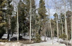 Rio Arriba lot: 337, Angel Fire, NM 87710-0000