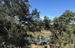 00 CR 137, Burnet, TX 78611