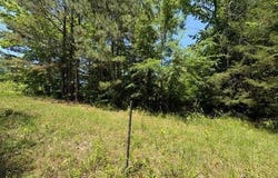 Hempstead 24 & 45, Blevins, AR 71857