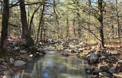 2 TBD Henderson Mill Road, Bates, AR 72958