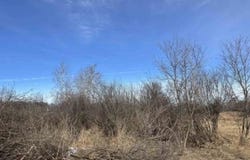 Grapevine, Tomah, WI 54660