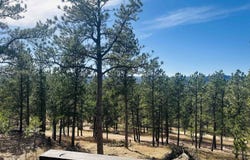 12127 Chickadee Lane, Custer, SD 57730