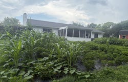 3310 Pleasant Lake Drive, Indianapolis, IN 46227