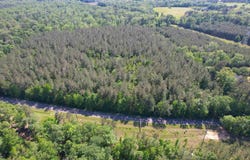 Tbd La Hwy 63, Clinton, LA 70722