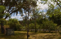 1650 LAKE HARNEY RD, GENEVA, FL 32732