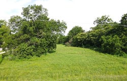 0 S Frances Street, Terrell, TX 75160