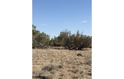 8580c Lawson Lane, Snowflake, AZ 85937