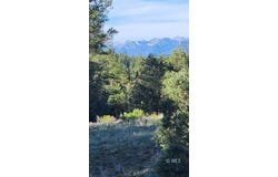 110 Dead Log Ln, Texas Creek, CO 81223