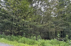 Lot #19 Split Rock Road, Newfoundland, PA 18445