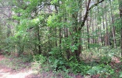0 0 off 561 east, Cofield, NC 27922