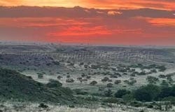 1004 BRIDLEWOOD Drive, Amarillo, TX 79124-0038
