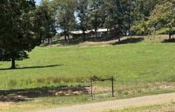 3283 Dodd Mtn. Road, Shirley, AR 72153