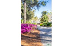 1654 Dublin Drive, Richmond Hill, GA 31324